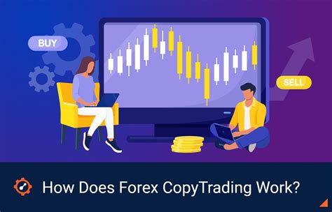 Los copy traders en los mercados de Forex frecuentemente usarán una plataforma de trading de un bróker ( un software similar a MetaTrader, en su versión 4 o 5) para examinar los detalles históricos y las estrategias de trading de múltiples inversores.. 