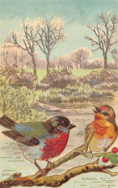 Copyright Free, Vintage Bird Drawings from FreeVintageArt.com