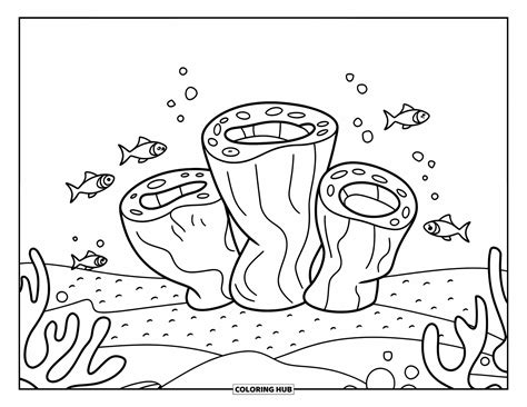 Coral Coloring Shee