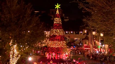 Coral Gables lights up the holidays with 20th annual tree lighting ceremony