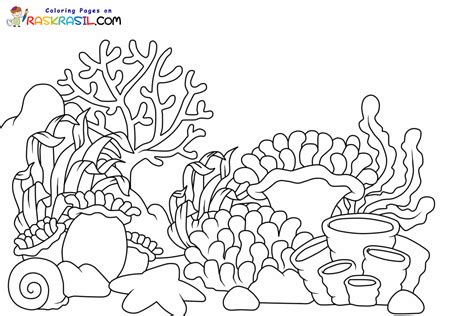 Coral Reef Coloring Pages
