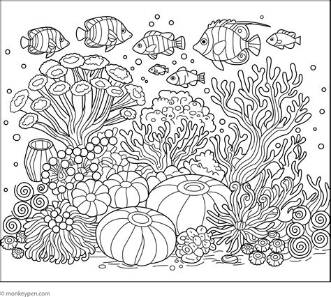 Coral Reef Coloring Shee