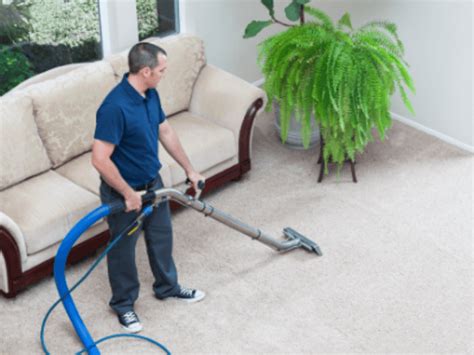 Coral Springs Steam Green Carpet Cleaning Florida