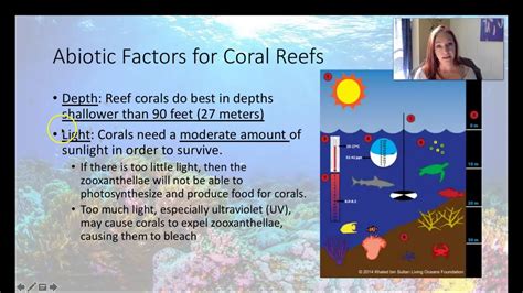 Coral reefs 1 abiotic factors. The main abiotic factor that determines the location of a coral reef is temperature; because it directly affects the survival of corals, and the efficiency of calcification. Corals generally thrive in warm tropical waters with temperatures between 23°C a nd 29°C (73°F a nd 84°F ), which is a requisite condition for their survival and g … 