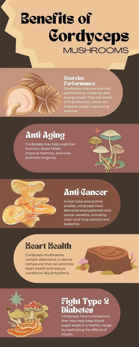 Cordyceps Mushroom Top Benefits & Si…