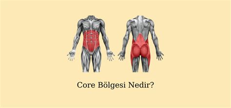 veodersti.rgarabwor.edu.pl. 