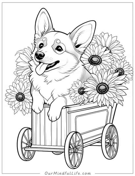 Corgi Coloring Shee