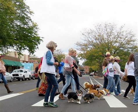 Corgi parade fort collins. 2 days ago · Tour de Corgi: 5 uninterrupted minutes of Fort Collins' corgi parade. When did Colorado pop the cork on wine in grocery and convenience stores? Here's a timeline. 