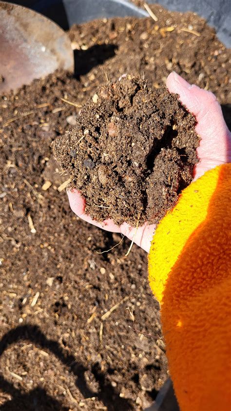 Cori Hastings Onlyfans Leaked XxX 148 Pics