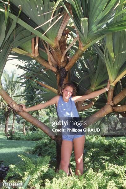 Corinne Hermès - Wikiwand