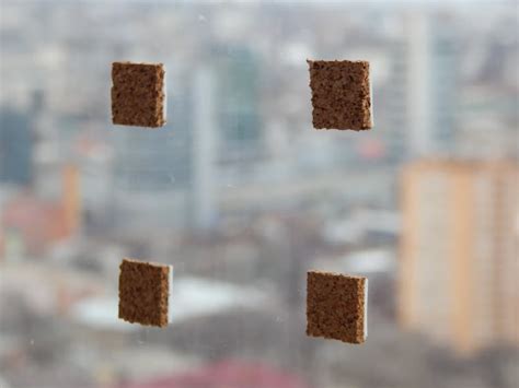 Cork Pads - SafeGlass