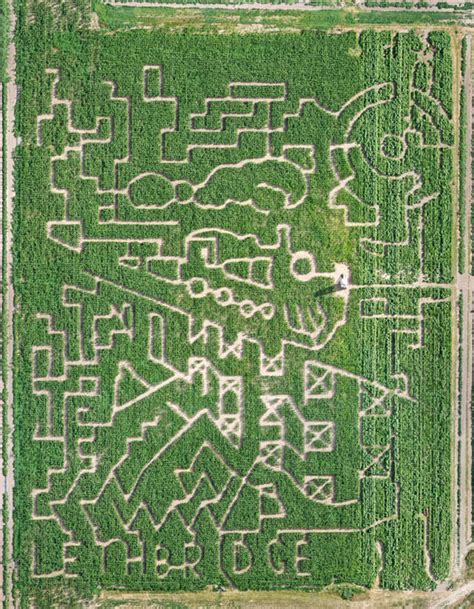 Corn Maze open for 24th season