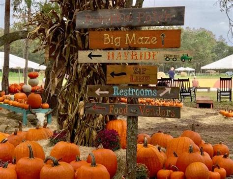 Corn Mazes in Orlando - Orlando Family Fun Magazine