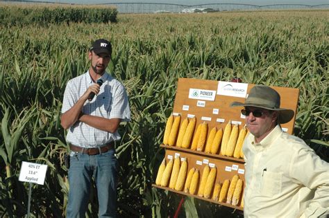 Corn Plant Population Research Pioneer® Seeds