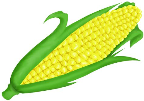 Corn on the cob clip art. Things To Know About Corn on the cob clip art. 