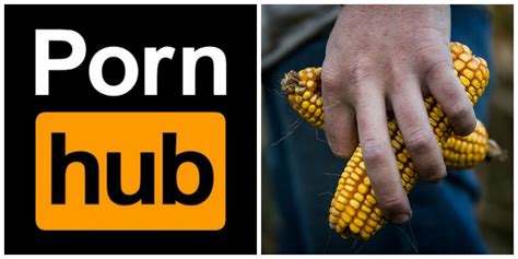 Corn pornhub. Things To Know About Corn pornhub. 