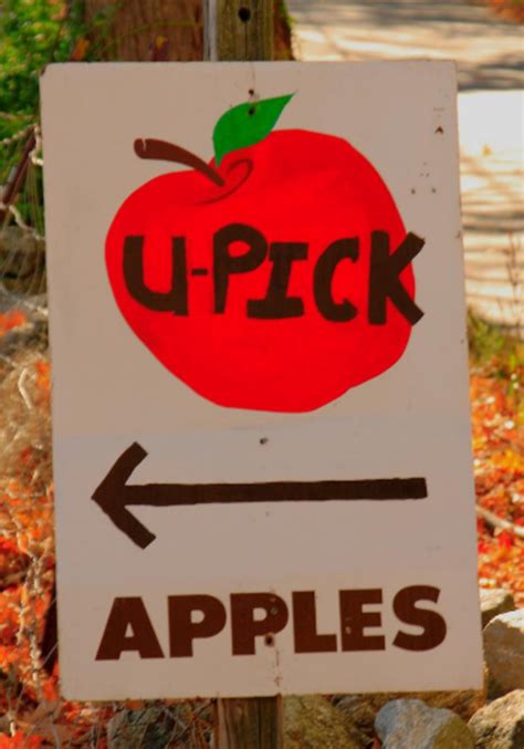 Cornell Cooperative Extension U-Pick Listing