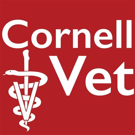 Cornell Veterinary School Cbd For Dogs