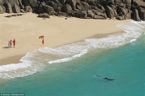 Cornwall beachgoers spot