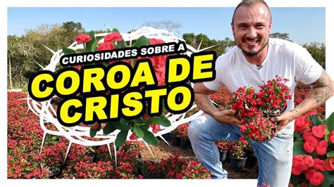 Coroa Silvana Sol Onlyfans Leaked 🍆 +18