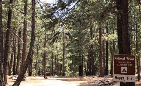 Coronado forest. Things To Know About Coronado forest. 