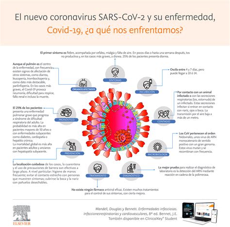 Coronavirus Covid-19 en EL PAÍS