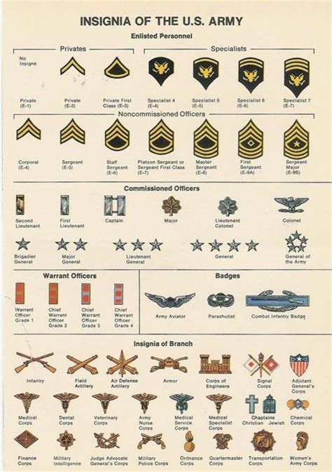 Corporal in Military Rank abbreviations. Abbr. Meaning. CFC. Corporal First Class. Military, Rank, Singapore.. 