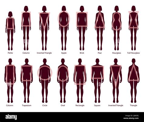 Corps en formes