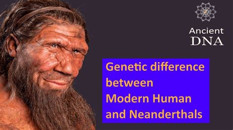 Correction: Ancient Humans-Genetics story