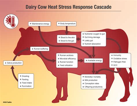 Correction: Livestock-Heat-Stress story