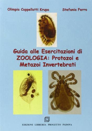 Corso di zoologia degli invertebrati una guida alla dissezione e. - Guide du protocole et des usages.