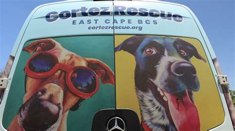 Cortez Rescue – everyday enriching the lives of homeless and …