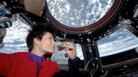 Cosmic Cuisine: How Astronauts Eat in Space & Future Food Innovations (2025)