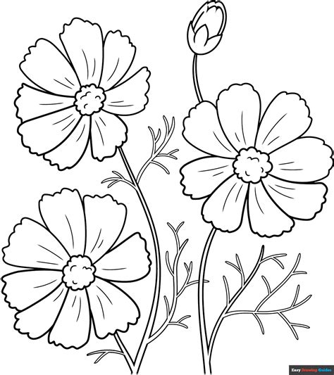 Cosmos Coloring