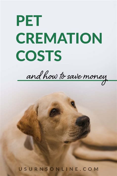Cost for cremation.  Getting compensated for the pet&rsquo;s actual worth requires a separate de...