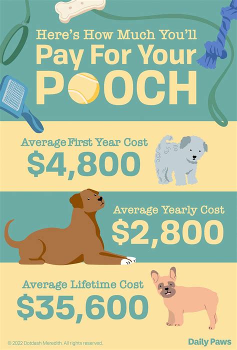 Cost of boarding a dog. Oct 22, 2021 ... At Lucky Dog, we charge $44 for the first dog, and $24 for a second dog. To learn more about our rates, packages, and ... 