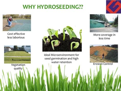 Cost to hydroseed. The Benefits of Hydroseeding. In days gone by, revegetating a large area took a long time and was very labor intensive. This is not a cost-effective way to treat an area. Hydroseeding offers the following benefits: Speed: Whether one is treating a small or a large area, the hydroseeding process is very rapid. This means that it saves both time ... 
