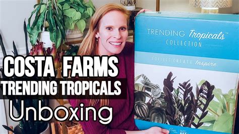 Costa Farms Trending Tropicals 2023