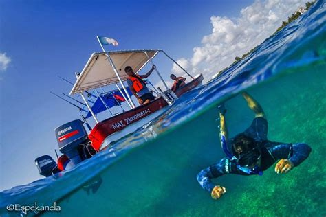 Costa Maya Shallow Reef Snorkeling Tour 2024 - Viator