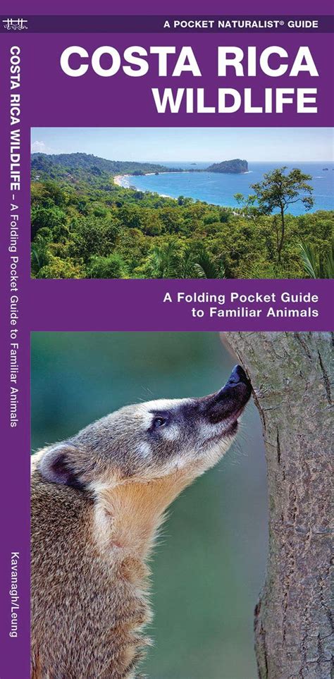 Read Costa Rica Wildlife A Folding Pocket Guide To Familiar Species By James Kavanagh