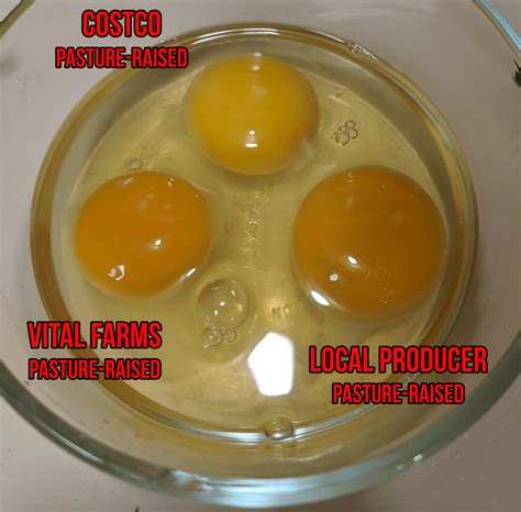 Costco Pasture-Raised Eggs vs Vital Farms Pasture …