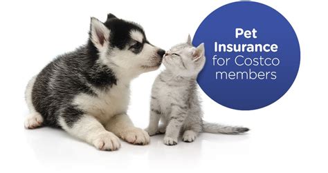 Costco pet insurance. Costco members who do not have prescription coverage or whose insurance does not cover all of their prescription medications receive additional savings through ... 