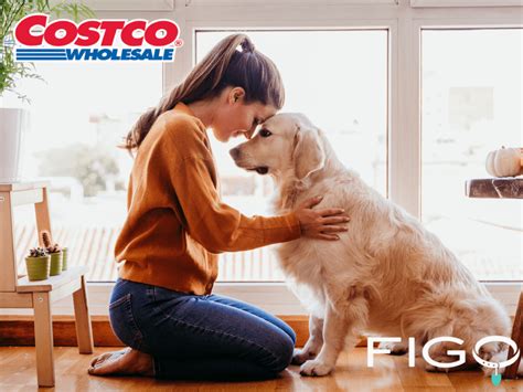 Costco pet insurance review. Quality, affordable pet insurance can help pay for unexpected veterinary bills. As a Costco member, you may be eligible to receive an exclusive discount 1 on plans through Figo Pet Insurance. Pet Health Insurance Less worry for pet parents. For More Information. Call 844-200-2607 or Text 216-250-9231. Get a Quote. 