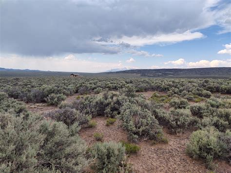 Costilla County, Colorado ReVista