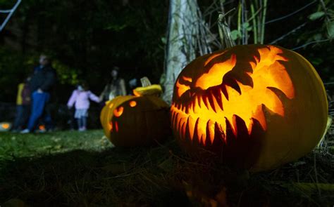 Costumes, candy and a chilly forecast: Halloween is here
