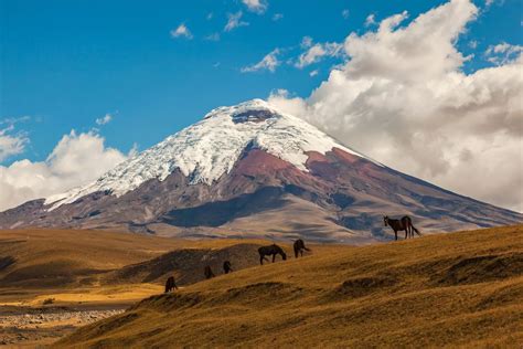 Cotopaxi. Jul 2022. Cotopaxi National Park is an impressive natural wonder located in Ecuador. Cotopaxi National Park is one of the highest volcanoes in the world. The park is home to a wide range of ecosystems including high altitude grasslands, forests and wildlife such as Andean condors and llamas. 