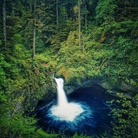 Cottage Grove, Oregon - Punchbowl