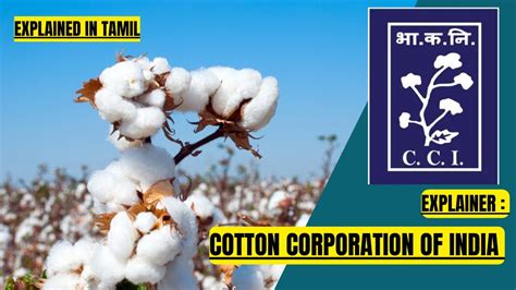 Cotton Corporation of India