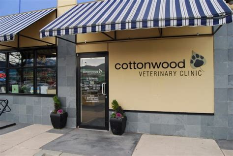 Cottonwood animal clinic. Specialties: Due to COVID-19, hospital hours may vary. Each VCA hospital has health and safety protocols in place based on health care best practices as well as state and local guidance and regulations. These may include, but are not limited to, curbside check-in, health screenings, temperature checks and social distancing measures. Note, all persons entering our hospitals must wear a face ... 
