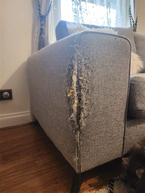 Couch repair. How to repair sofa upholstery when the fabric gets torn? · Inspect other sections of the couch for possible upholstery tears before patching up the affected ... 